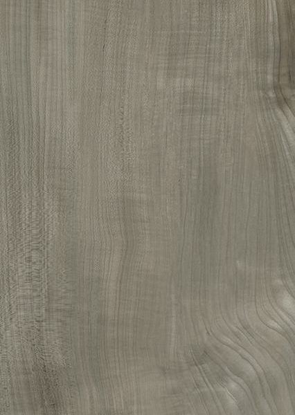 HI-WOOD CHARCOAL DARK OAK POLISHED 200X1200