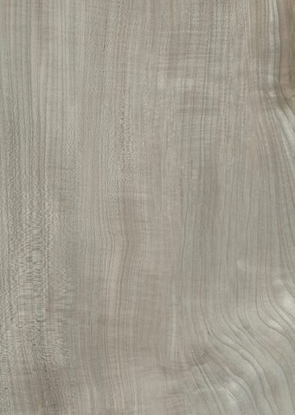 HI-WOOD GREY OAK POLISHED 200X1200