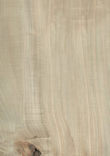 HI-WOOD WALNUT POLISHED 200X1200