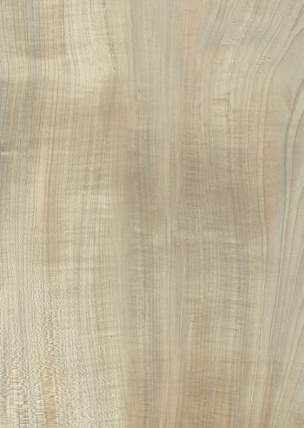 HI-WOOD WALNUT POLISHED 200X1200
