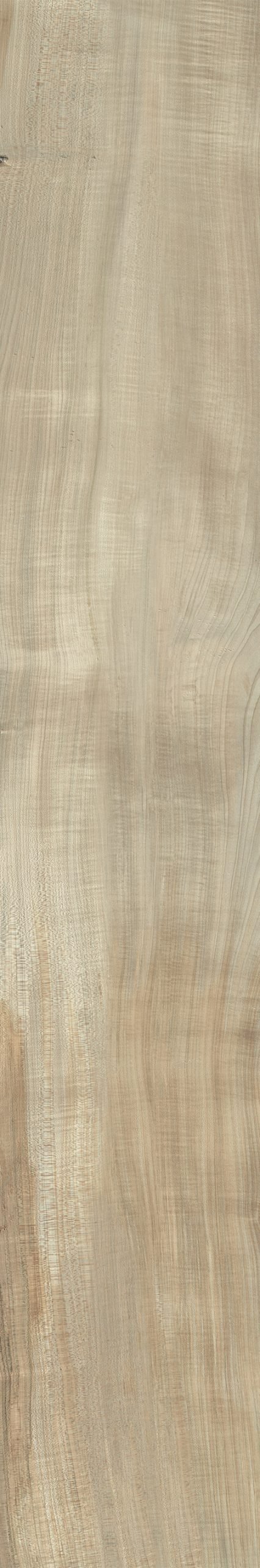 HI-WOOD WALNUT POLISHED 200X1200