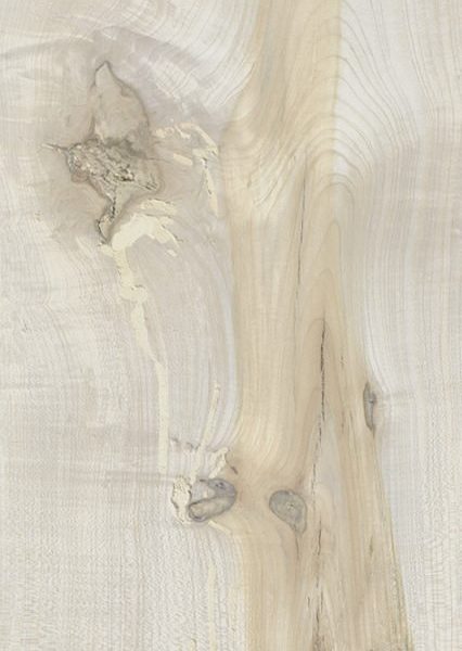 HI-WOOD ALMOND MATT 200X1200