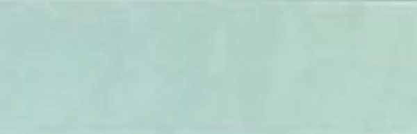 PETTI BELLA PASTEL GREEN MATT TILE 65X265mm