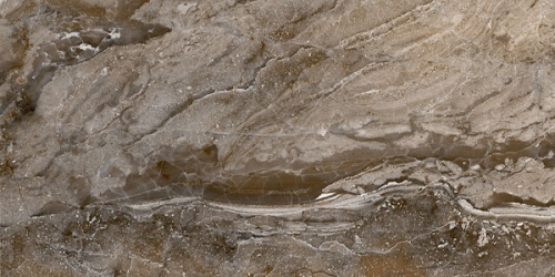 dCARNIS BROWN TILE 300X600mm