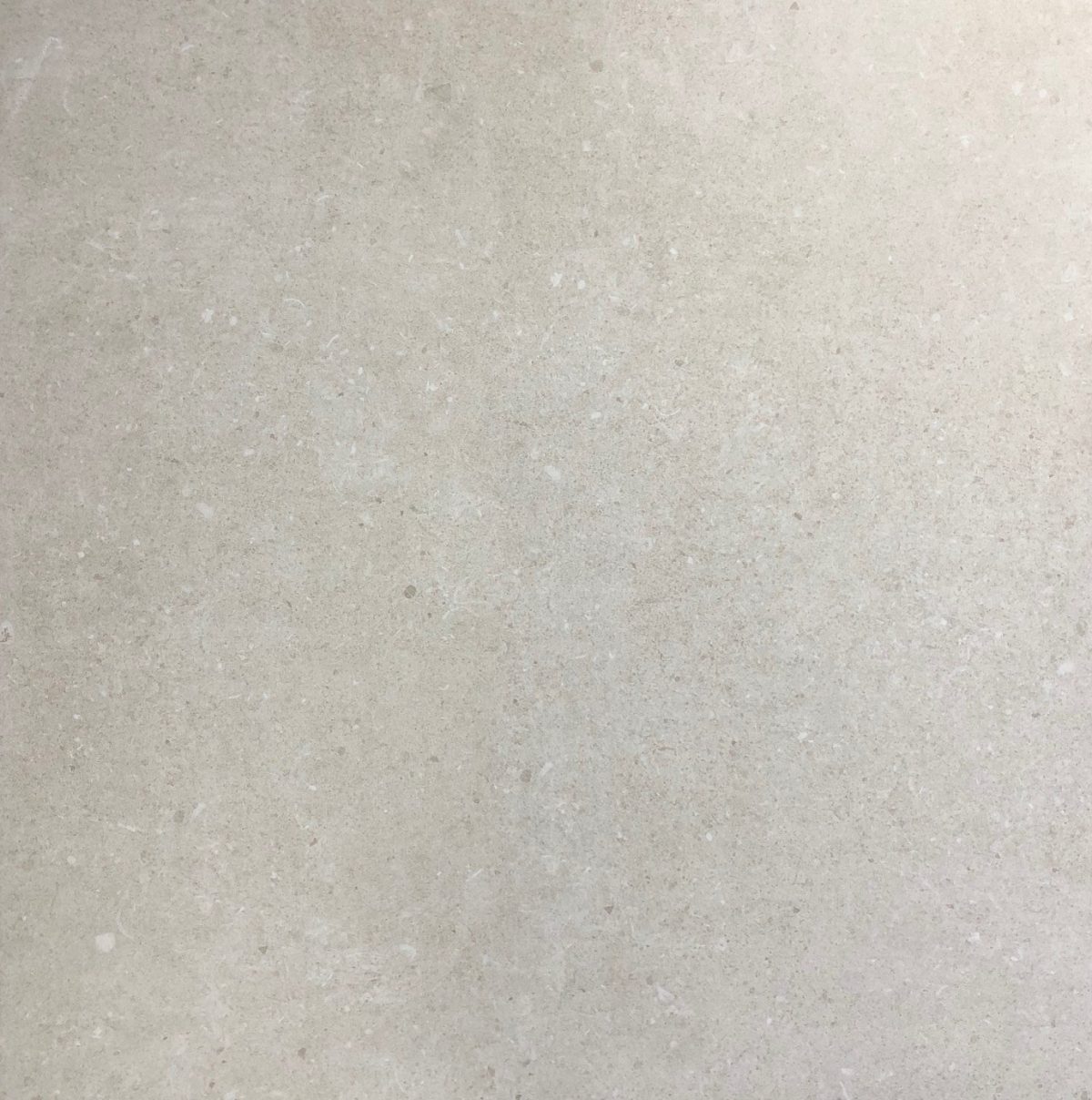HERITAGE REEF BIANCO MATT TILE 600X600mm
