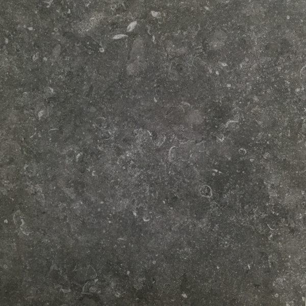 TERRATINTA STONE EVOLUTION ZWART LAPPATO CHARCOAL TILE 600x600mm