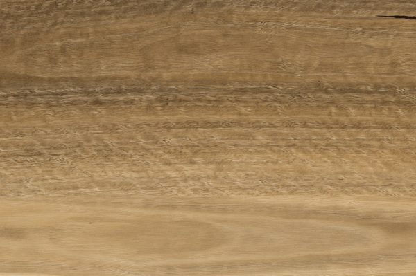 ELSA+ SPOTTED GUM VINYL 1219x184mm