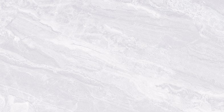PALACE GREY GLOSS TILE 300X600mm