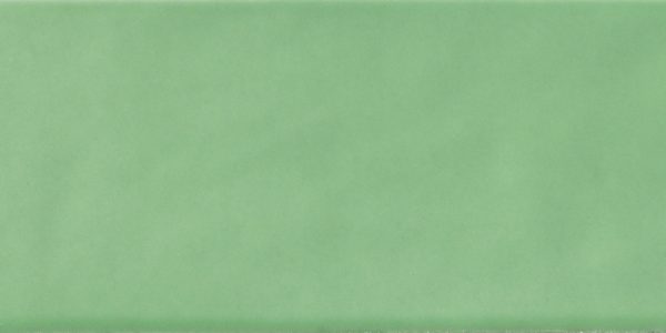 AROMA VERDE GLOSS TILE 60X240mm