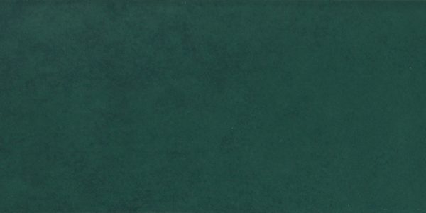 AROMA VERDE SCURO GLOSS TILE 60X240mm