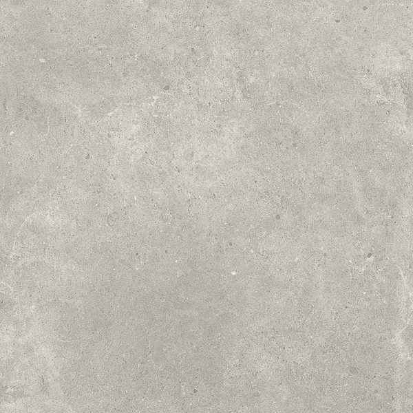 PARADIGM TORTORA LAPPATO TILE 600×600mm