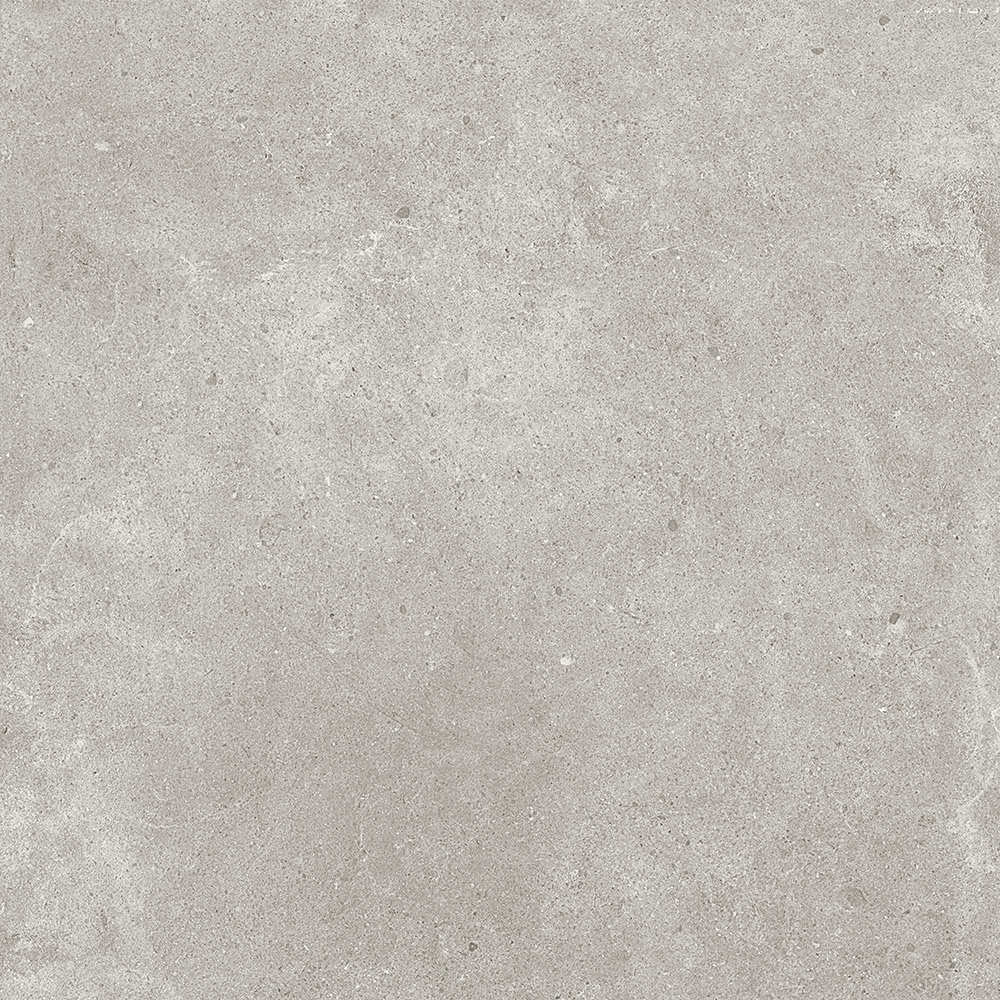 PARADIGM TORTORA LAPPATO TILE 600×600mm