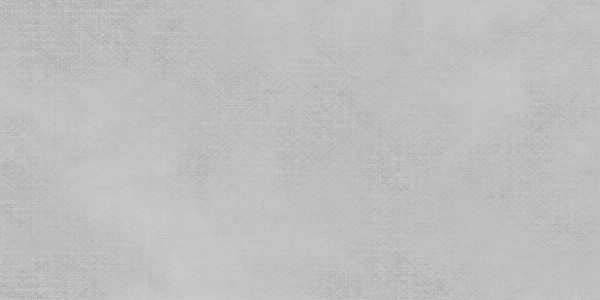 NETWORK GREY MATT TILE 300X600mm