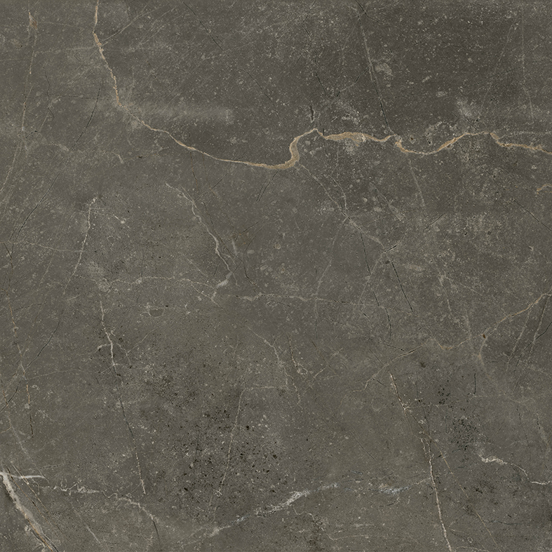 MARFIL CHARCOAL LAPPATO TILE 450X450mm