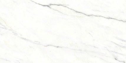 Euromarmo Calacatta Honed Tile 600x1200mm