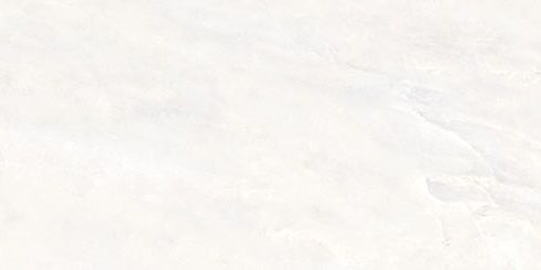 Euromarmo Pearl White Polished Tile 300x600mm