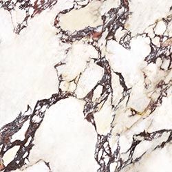 Wonderland Calacatta Viola Natural Tile 600x600mm