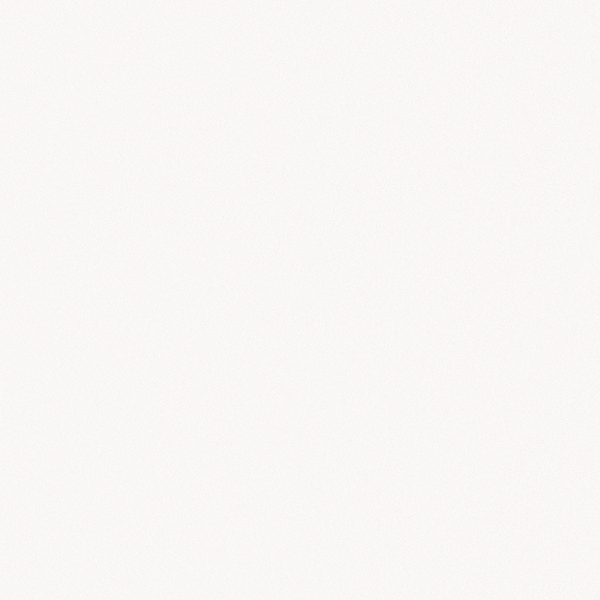 BARCELONA BLANCO TILE 250X250mm