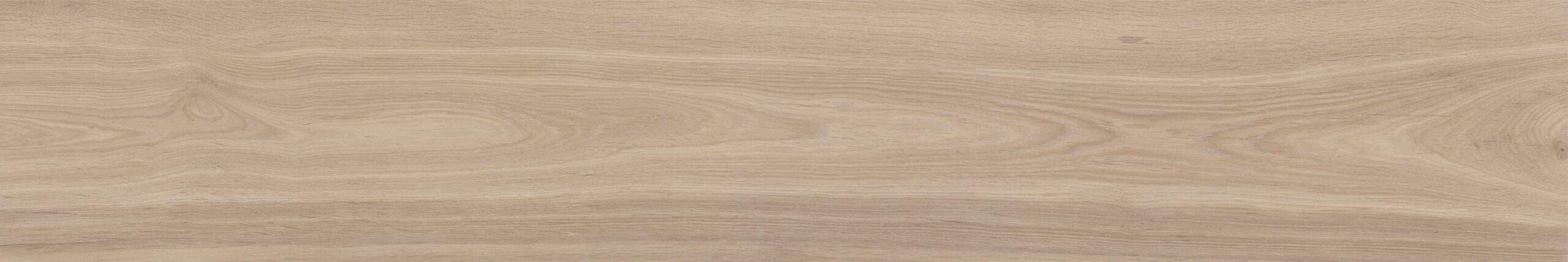 RIVERWOOD FOSSIL INOUT TILE 200X1200mmC