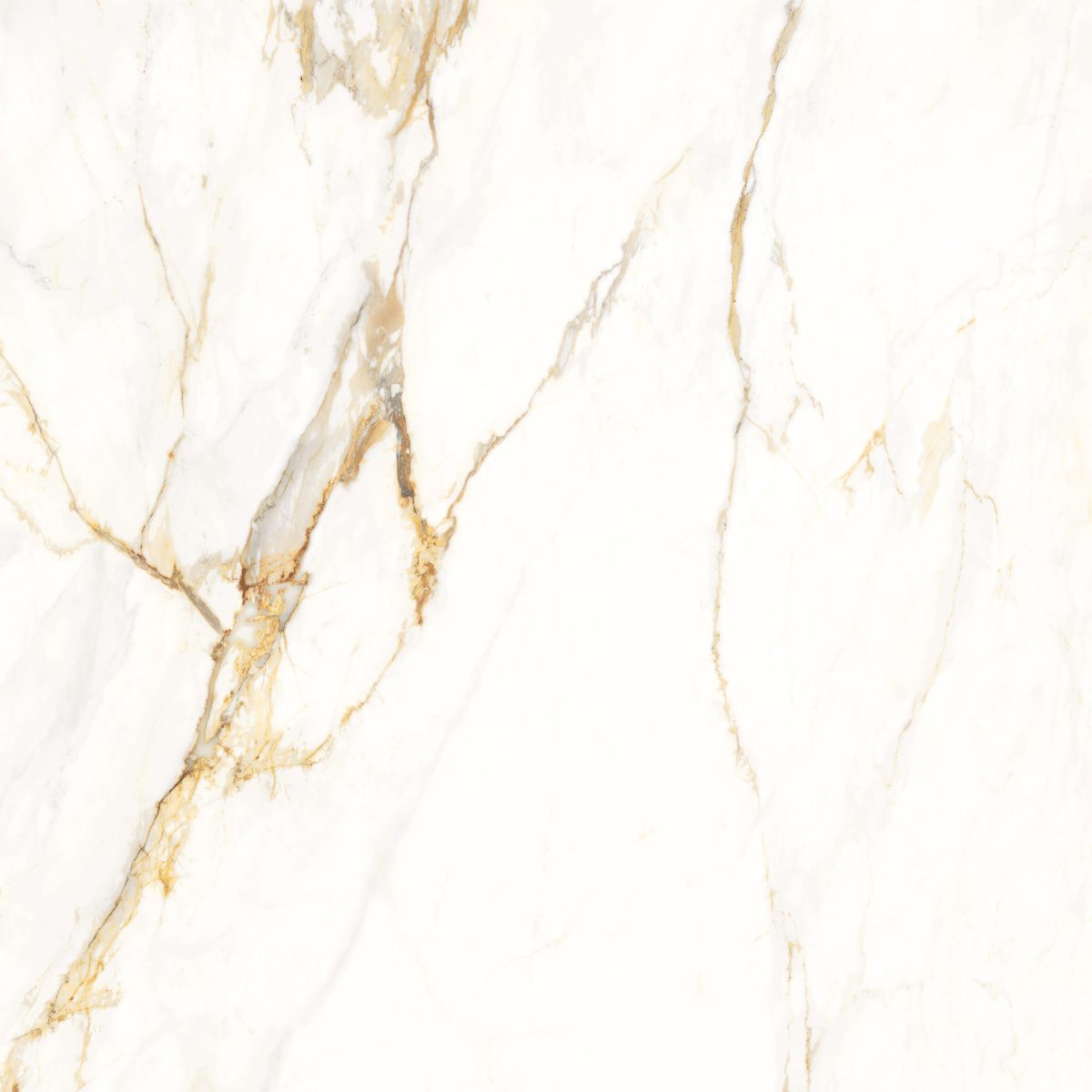 CALACATTA VALGI MATT TILE 600X1200mm